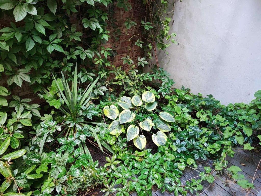 Central Vienna Apartment With Unique 40M2 City Garden & Self Check In ภายนอก รูปภาพ